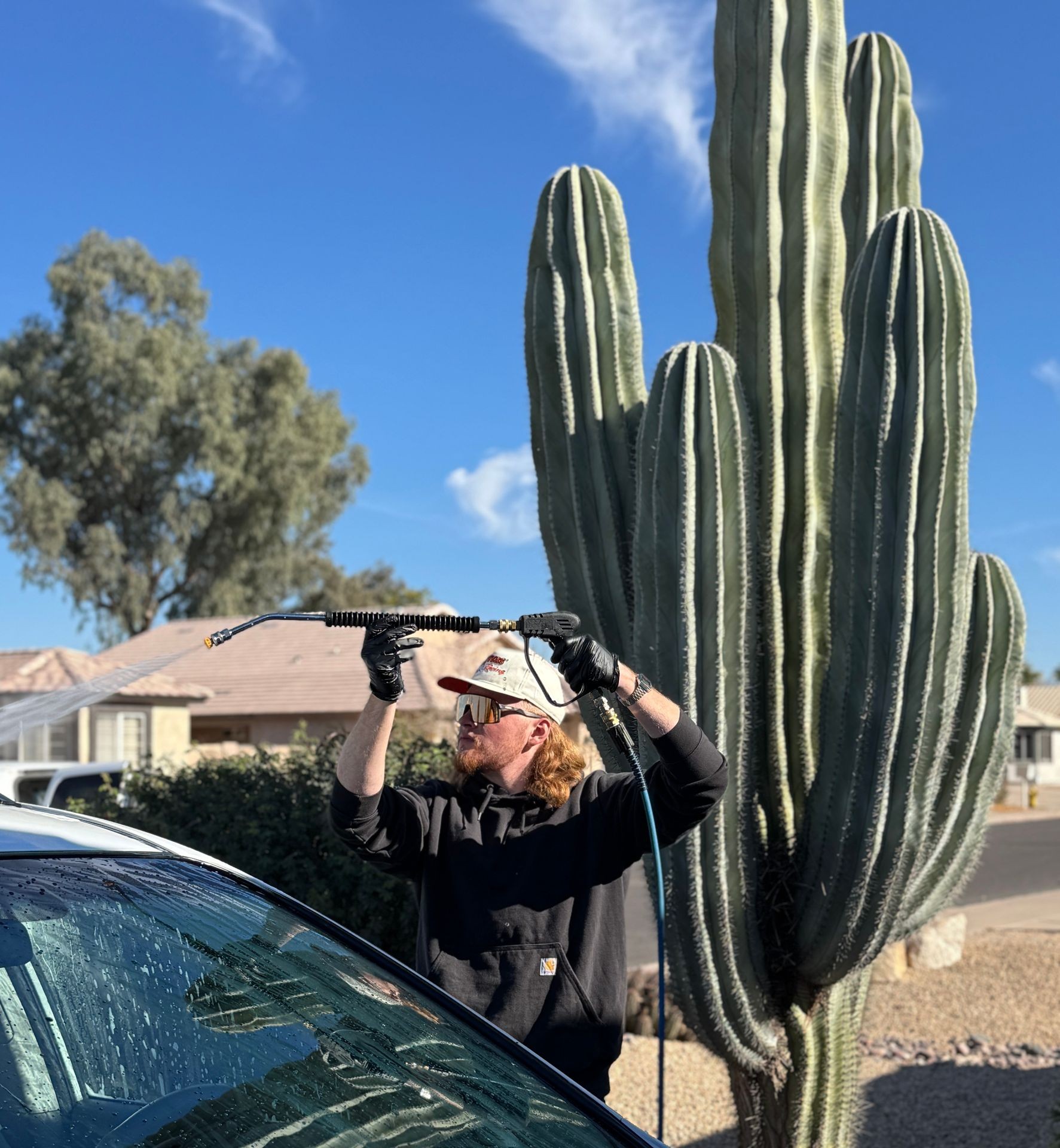 Person in sunglasses cleaning a car windshield with water near a large cactus and houses in the background.