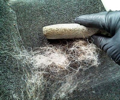 pet hair removal from car phoenix